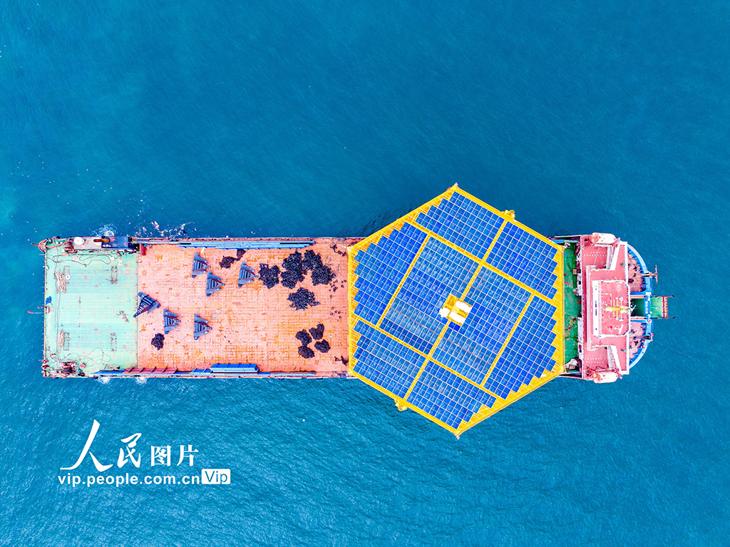 山东青岛：光伏平台“黄海一号”安全出港【4】