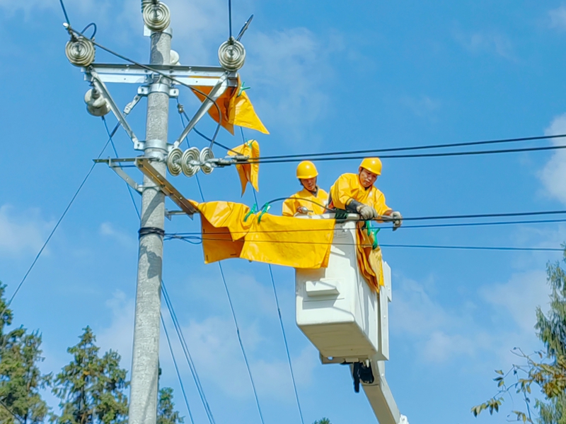 南方电网工作人员在遵义市务川仡佬族苗族自治县大坪镇开展带电作业，保障群众冬季用电无忧。王君辉摄.jpg