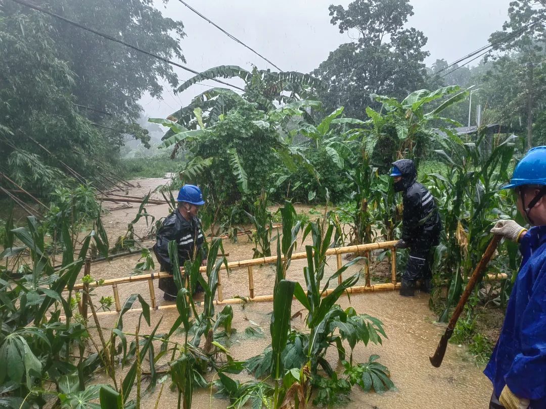 6月14日,南方电网广西新电力集团玉林供电公司福绵供电所工作人员对10kV古城线社岗支线进行故障巡视、抢修 邱耀能 摄.jpg