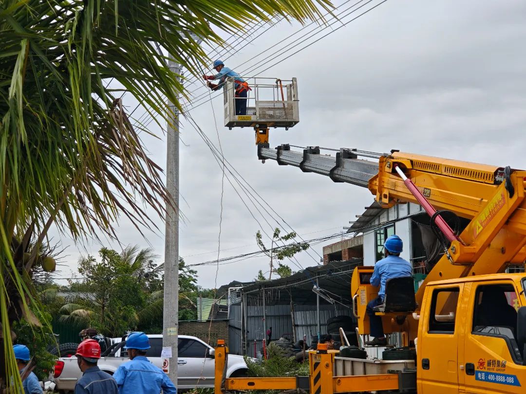 南方电网海南乐东供电局工作人员在承担着一批国家南繁育种基地供电任务的10千伏望新线开展抢修作业。(庄泽坤 卢欣 袁卅).jpg