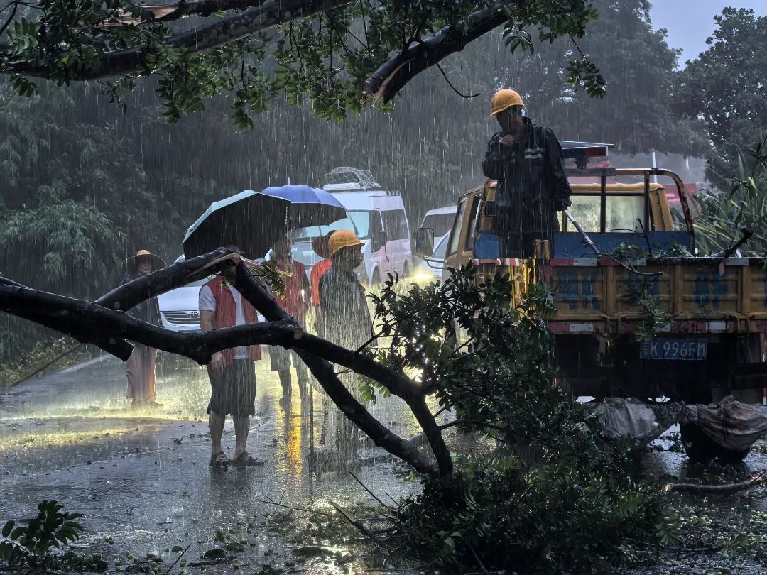 6月14日,南方电网广东茂名电白供电局那霍供电所抢修人员连夜冒雨清理国道树障。肖炳林 摄.jpg