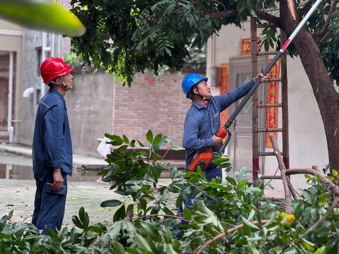 6月15日,南方电网广东湛江廉江供电局安铺供电所党员突击队开展台风过境后特巡,清理供电通道的残余树障。杜依蔓 摄.jpg