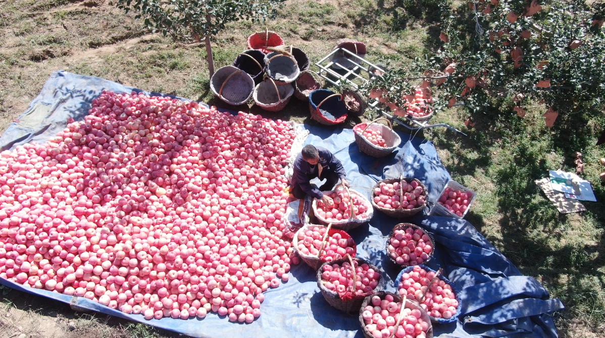 b7f218c6707fc9908b954ecfe1e69045_690c3e8ee4b011bbe139f268.png b7f218c6707fc9908b954ecfe1e69045_690c3e8ee4b011bbe139f268.png