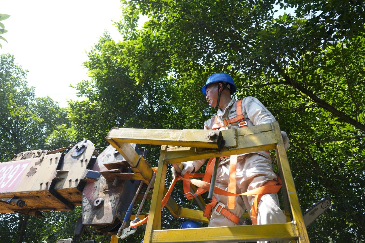 图片1.png 图片1.png