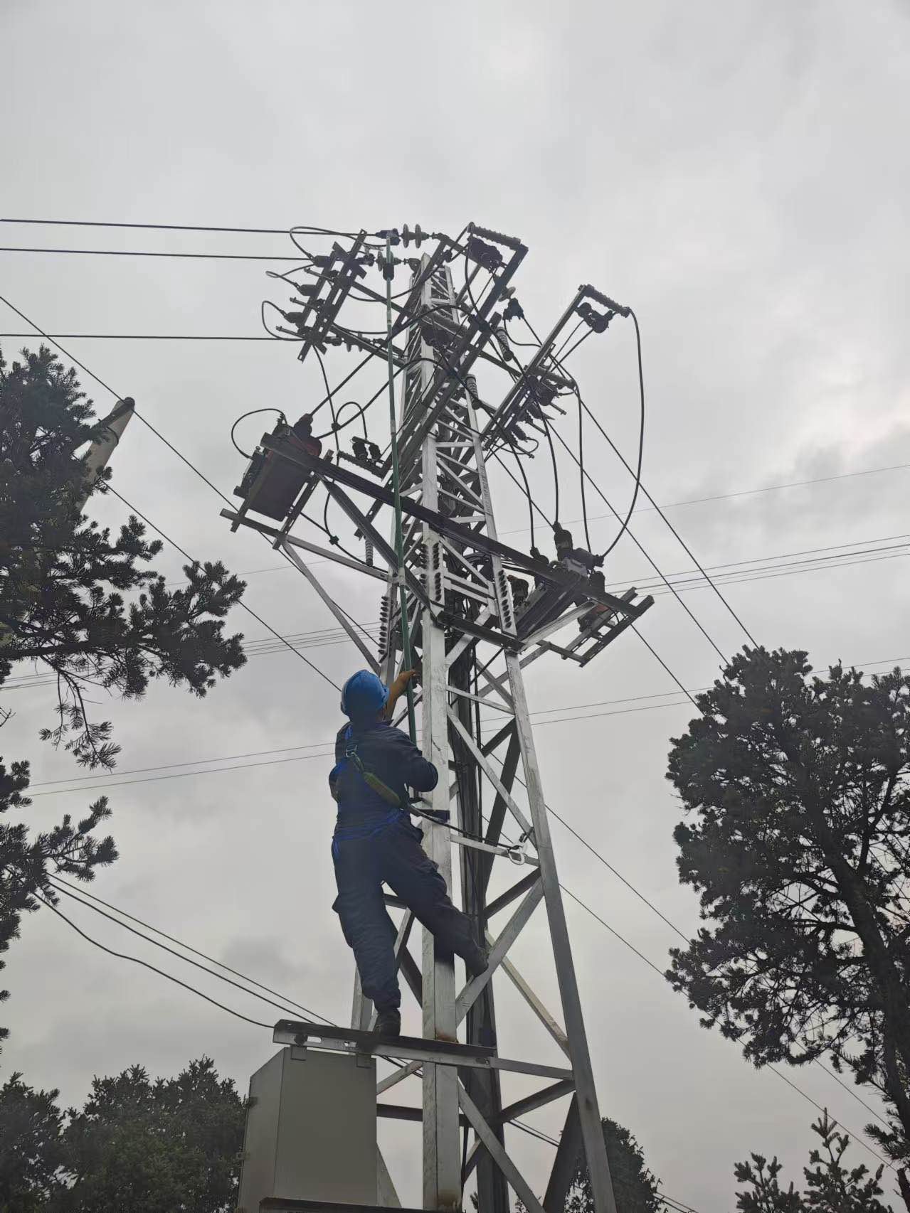 10kV三道线线路迁改作业1.jpg
