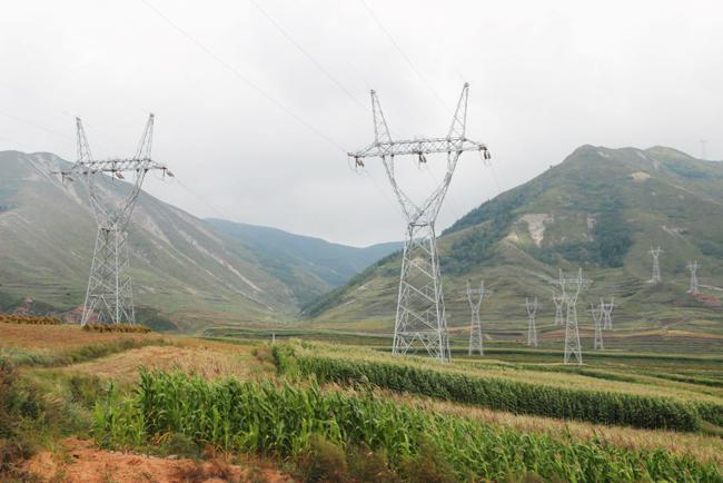 图片1.jpg 图片1.jpg