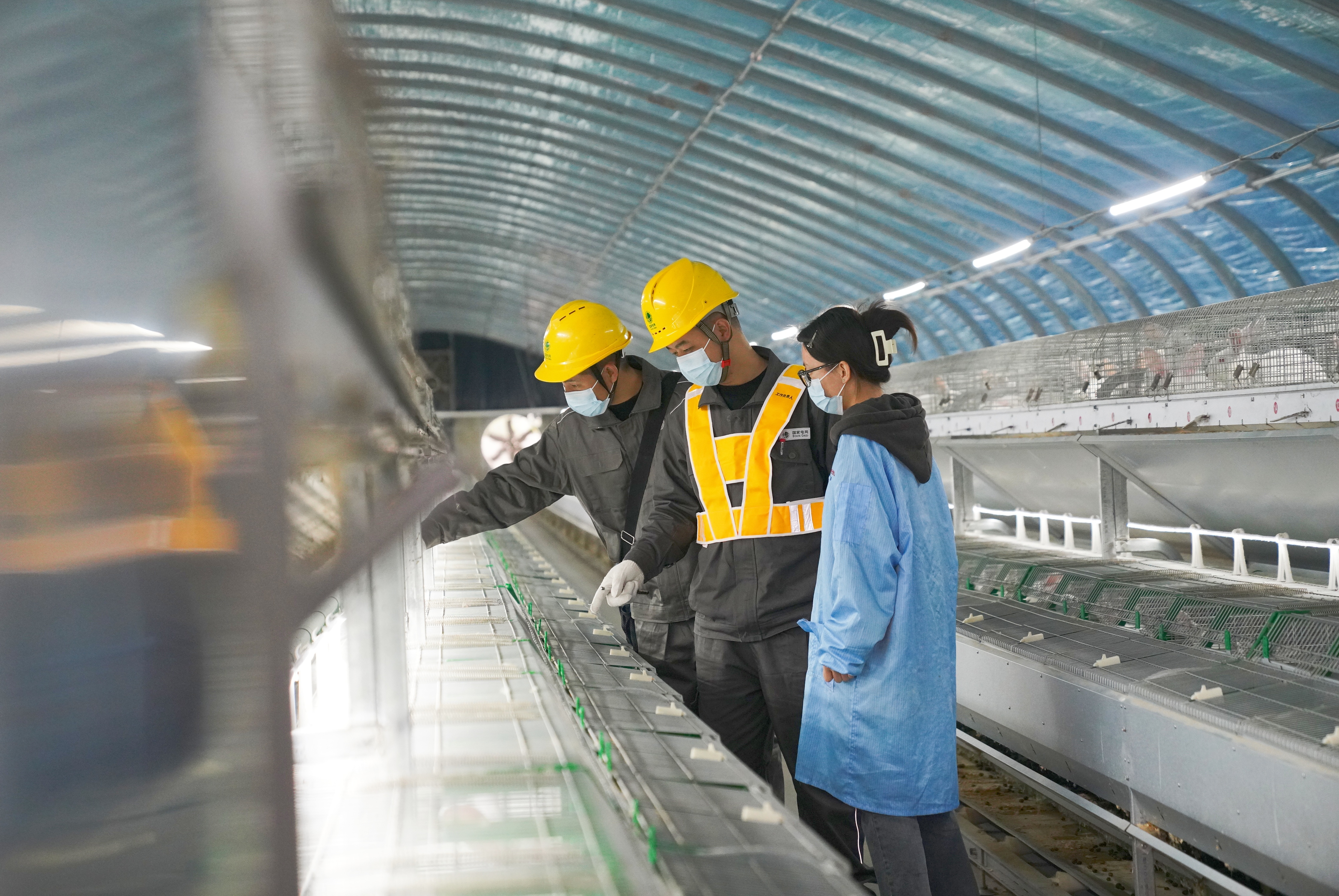 国网铜梁供电公司员工为华兴镇肉兔养殖基地开展安全用电检查（颜玲莉） (3).jpg