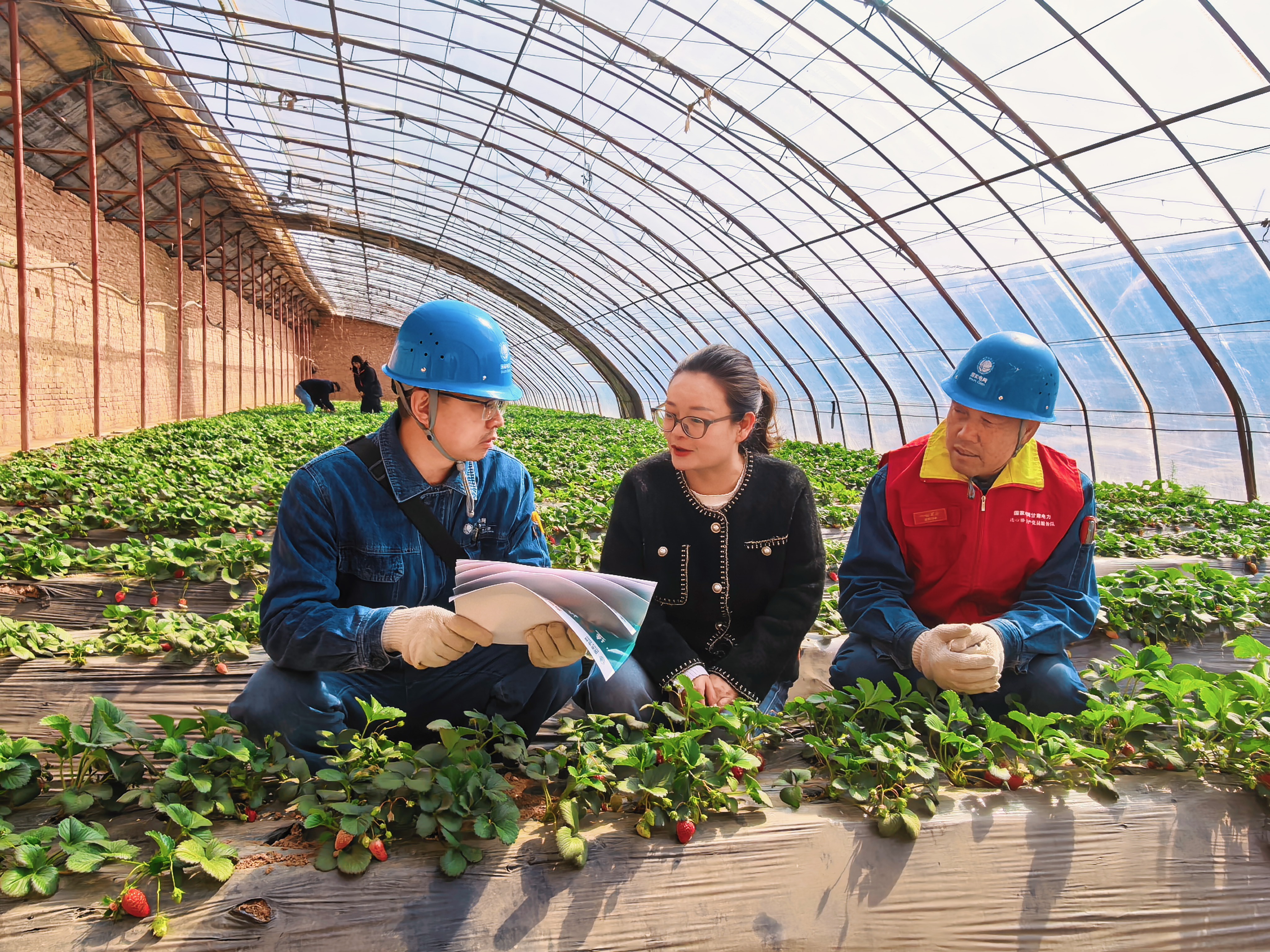 国网兰州供电公司安宁供电分公司忠和供电所台区经理王国<span class=