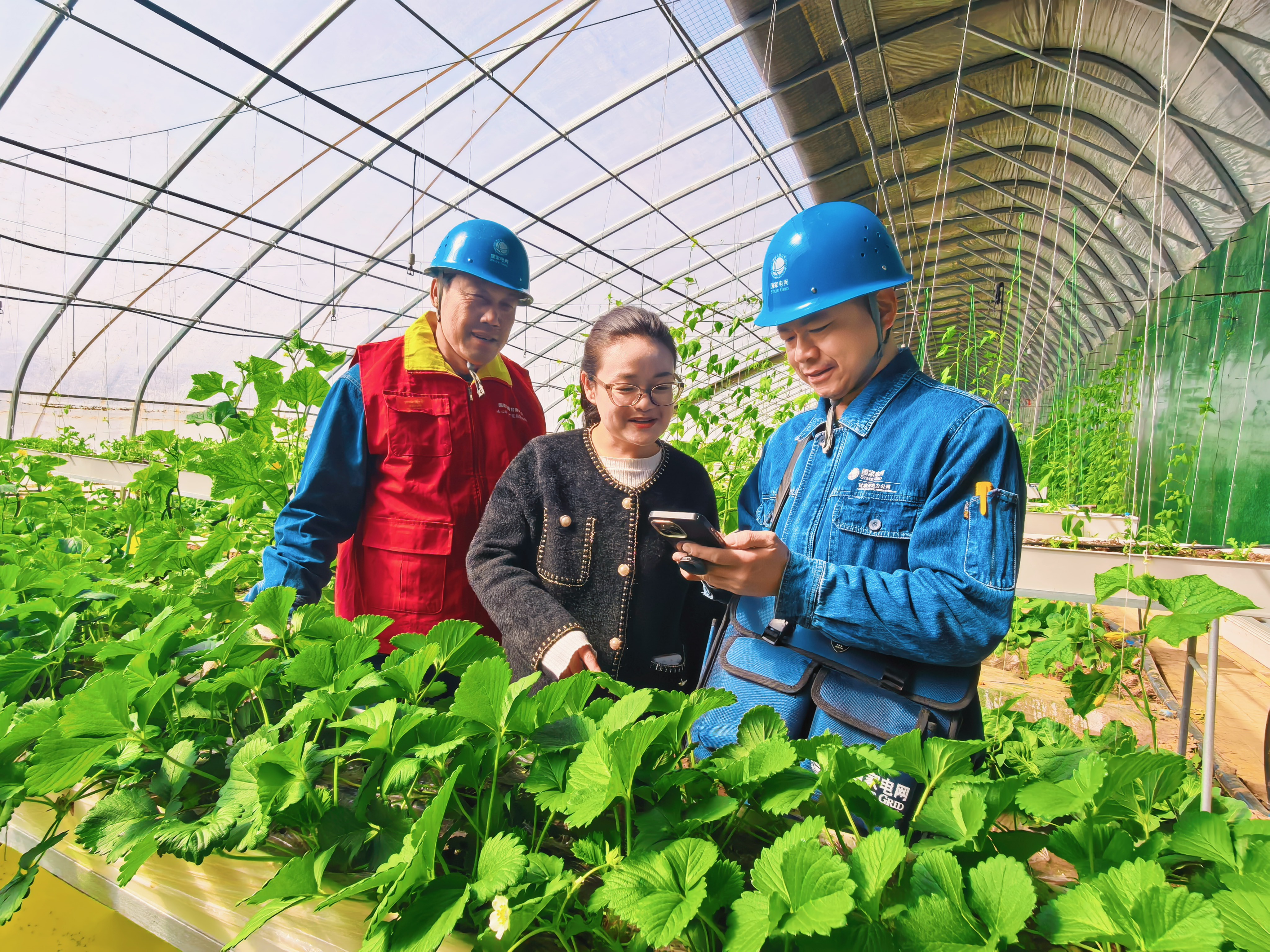 国网兰州供电公司安宁供电分公司忠和供电所台区经理王国<span class=